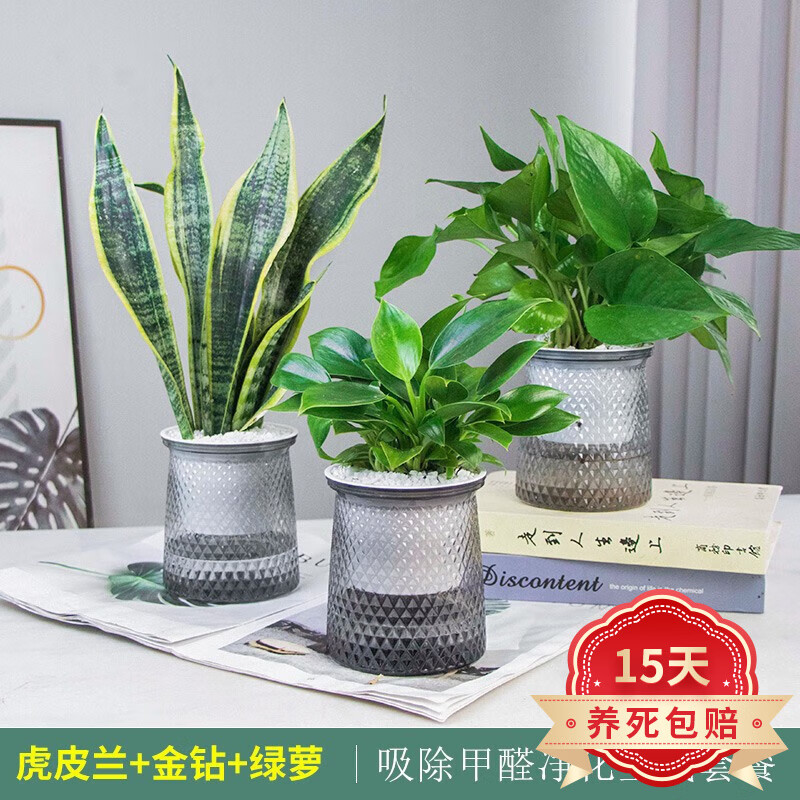 Kaitlyn Powell tweet media