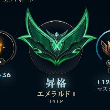 ダンボール肉まん tweet media