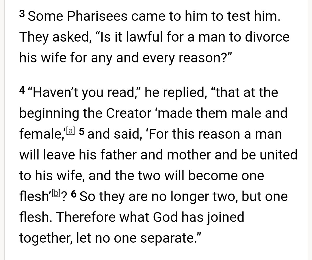 NewCatechumen🇻🇦 tweet media