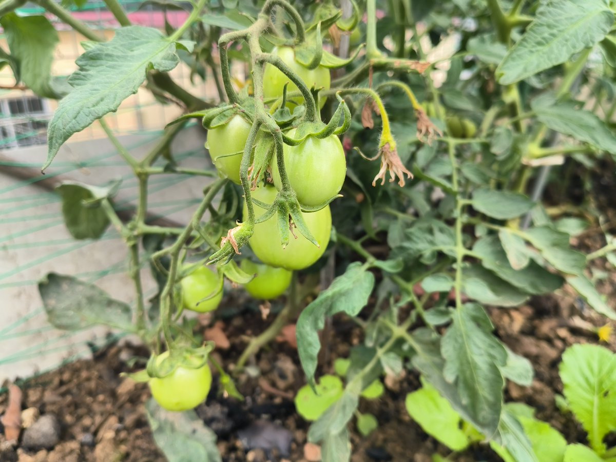 xavier oliver tweet media