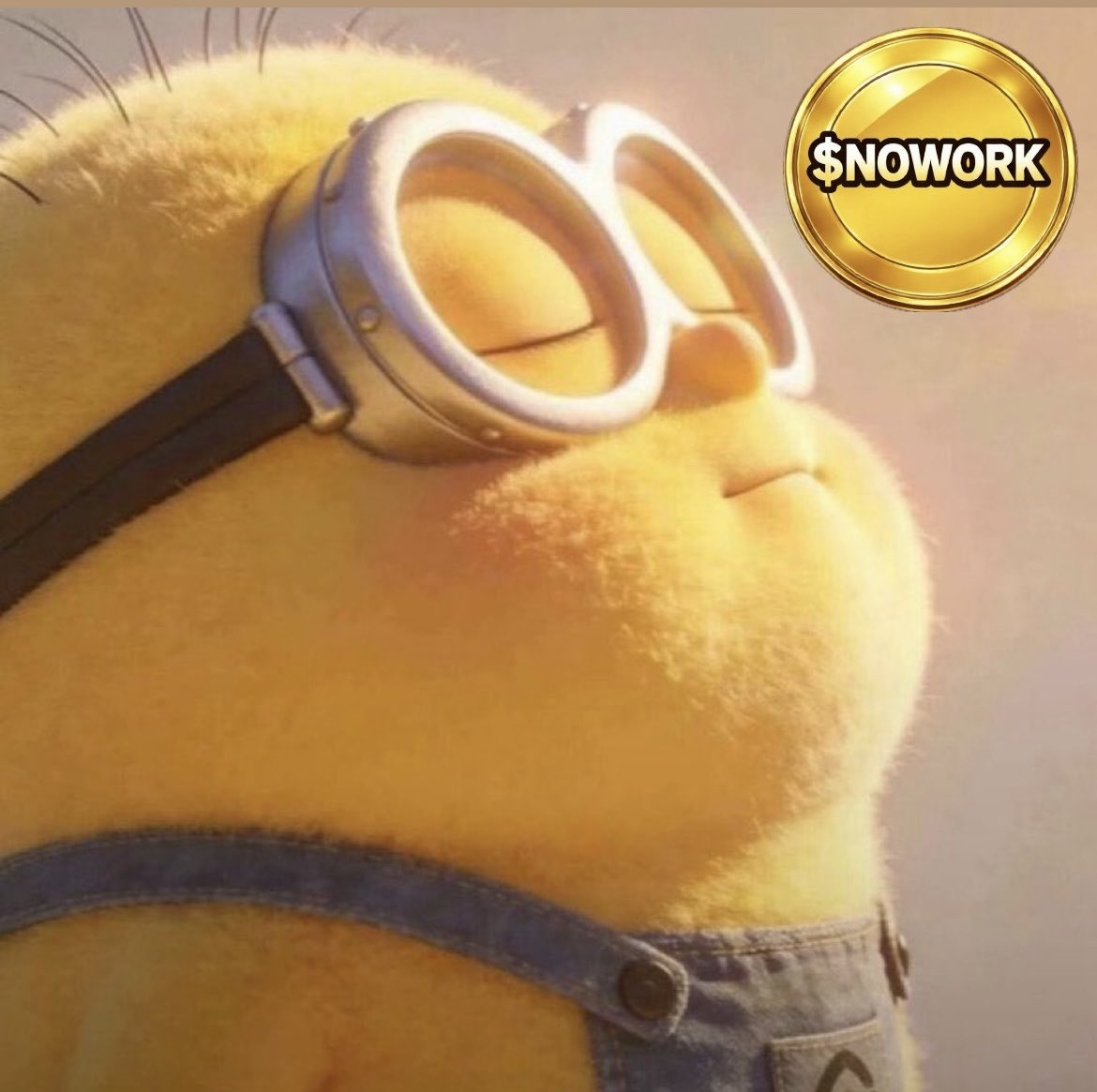 The $NOWORK coin tweet media