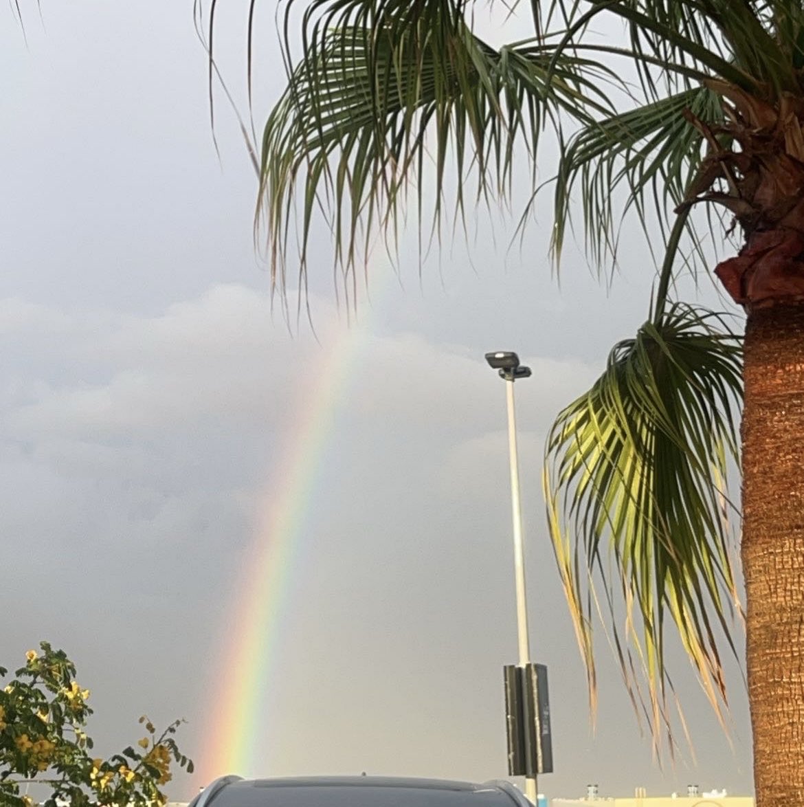 Taghreed ๐๐ค๐ธ๐ฆ๐ธ๐ฆ๐ค๐๐ฅฐ tweet media