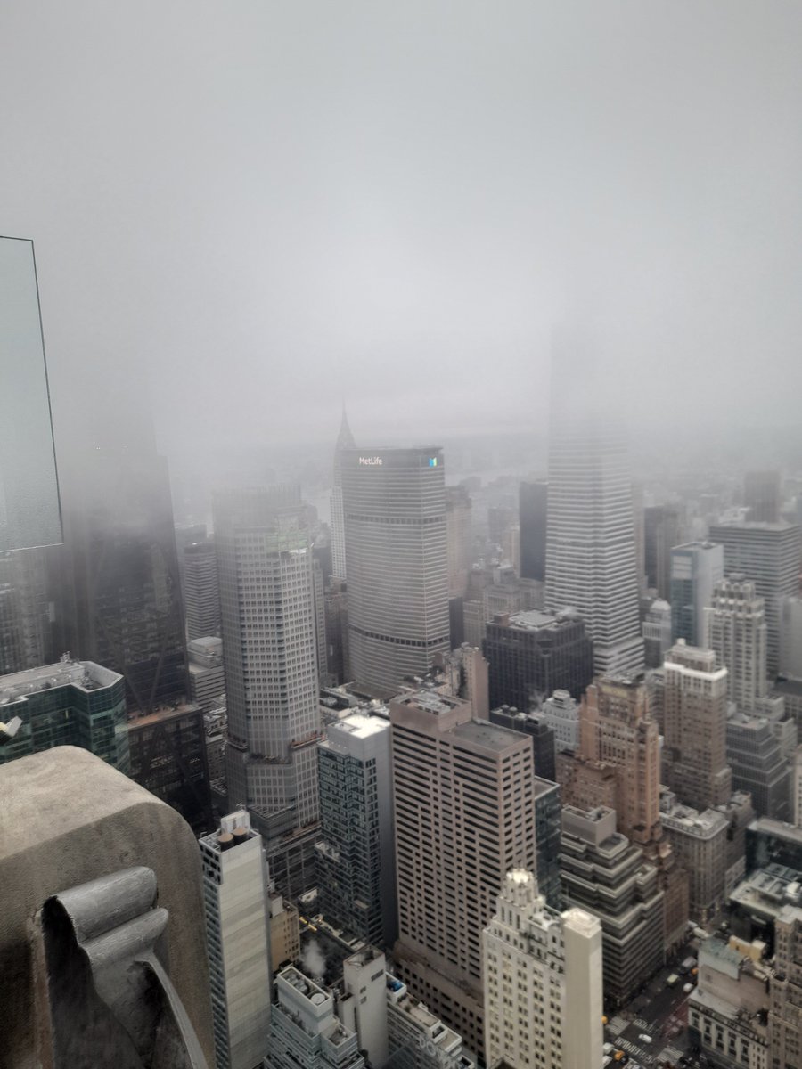 Flutterzance tweet media