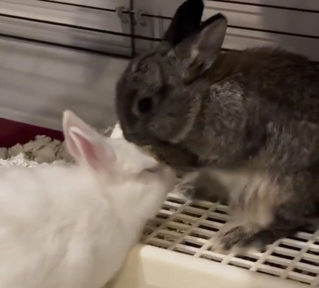 skye ★ tweet media