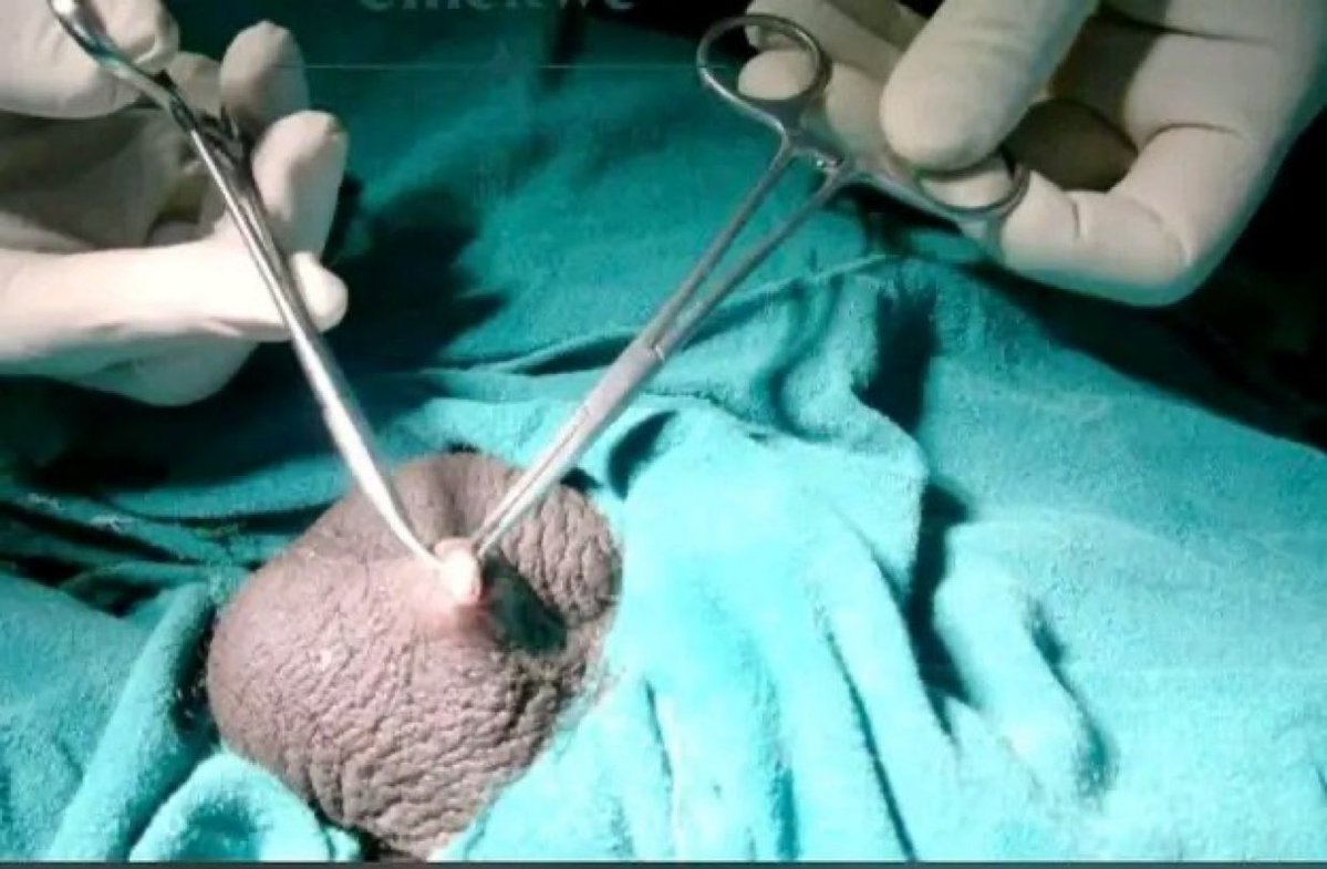 AYO💡💡 tweet media