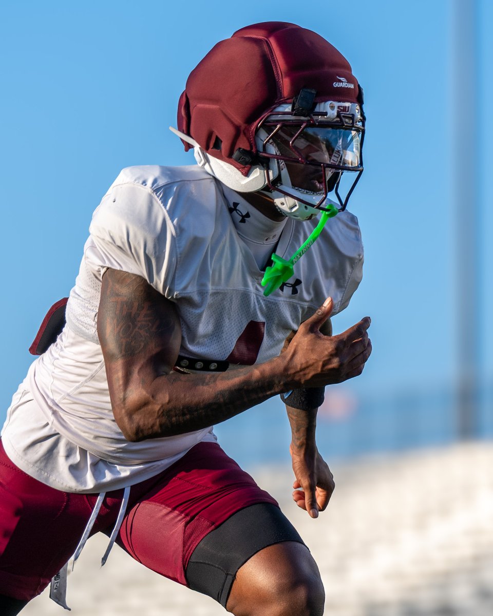 StrongDawgs tweet media