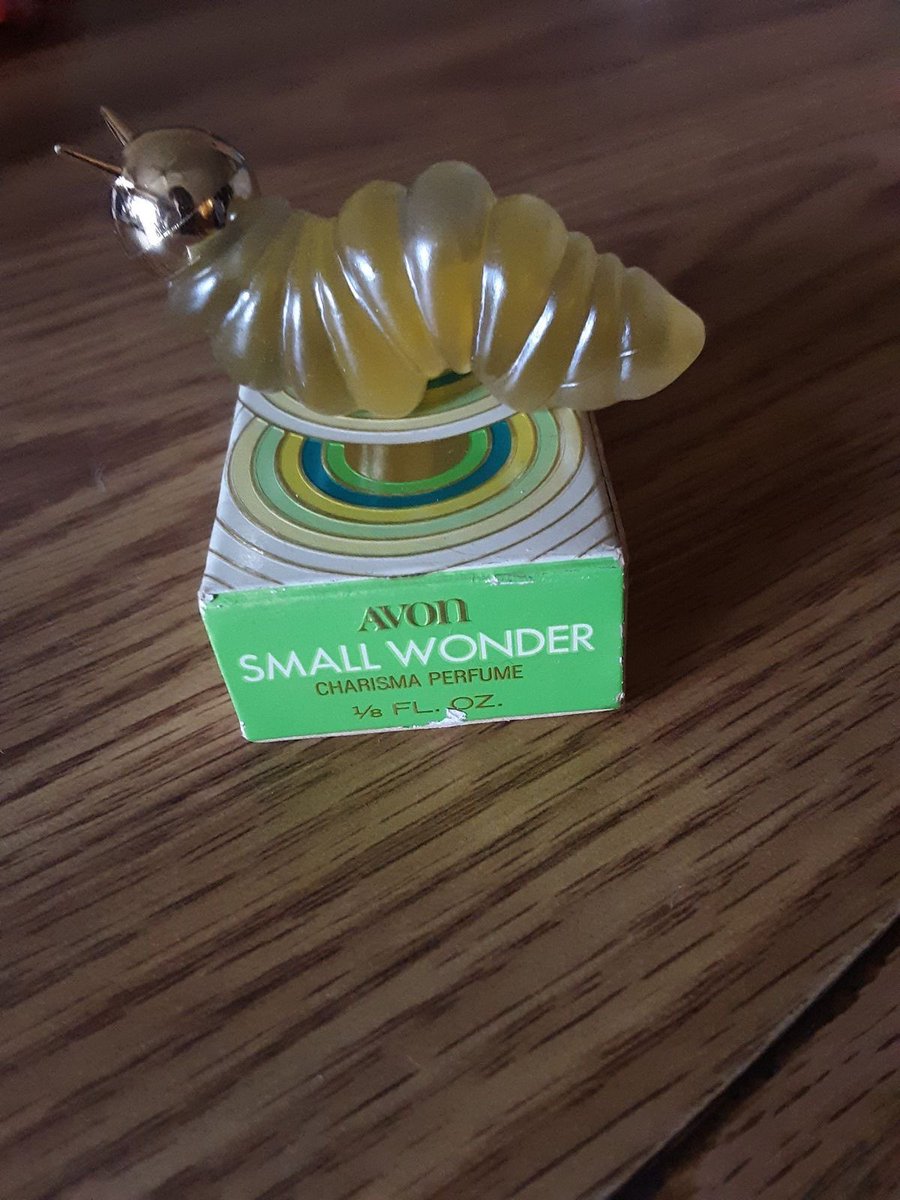 ipek ki 𓋹 tweet media