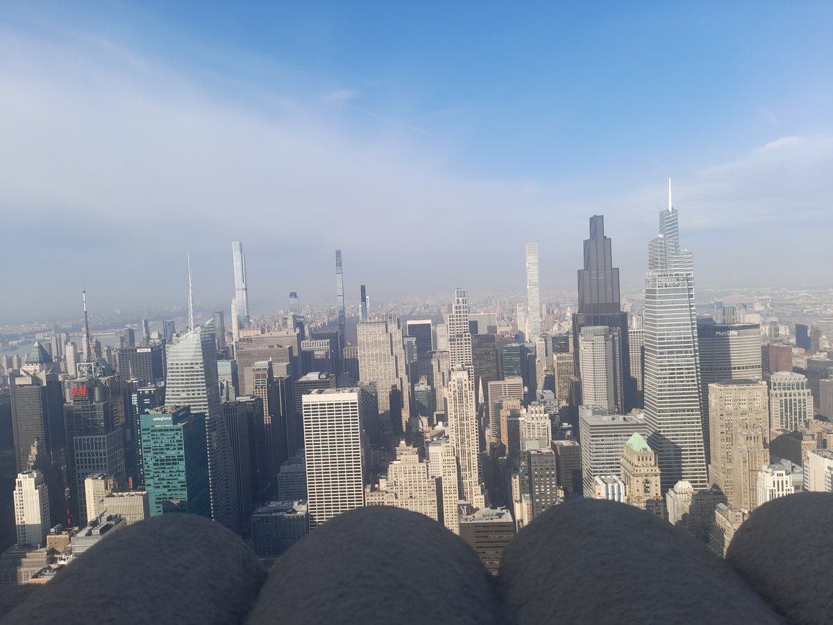 Flutterzance tweet media