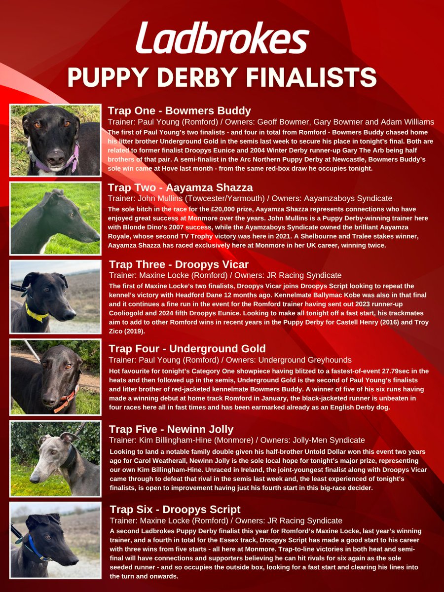 Here's a sneak peek of the special race card for the 2026 <a href="/Ladbrokes/">Ladbrokes</a> Puppy Derby Final featuring a one-off cover, competition history page and pen profiles of all the finalists 👍

The best of luck to all connections for what should be a great night 😊
monmoregreyhounds.com