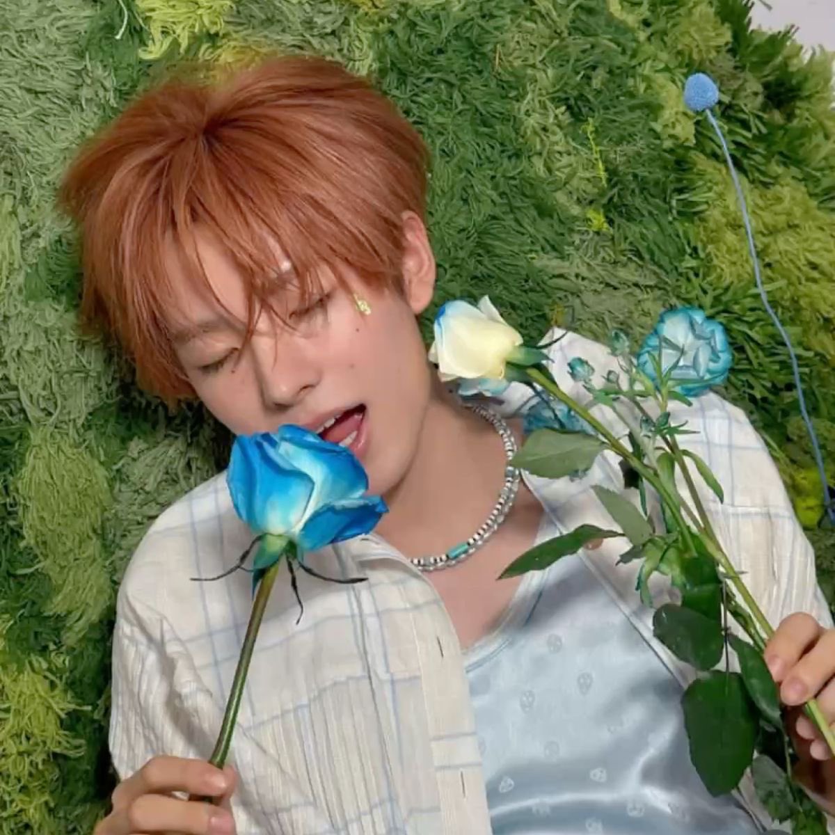 하나비 tweet media