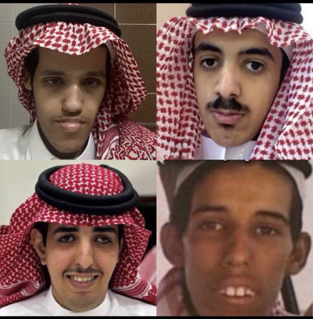 North || 🇪🇸 tweet media