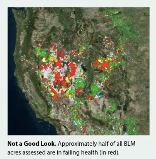 Wilderness Watch tweet media