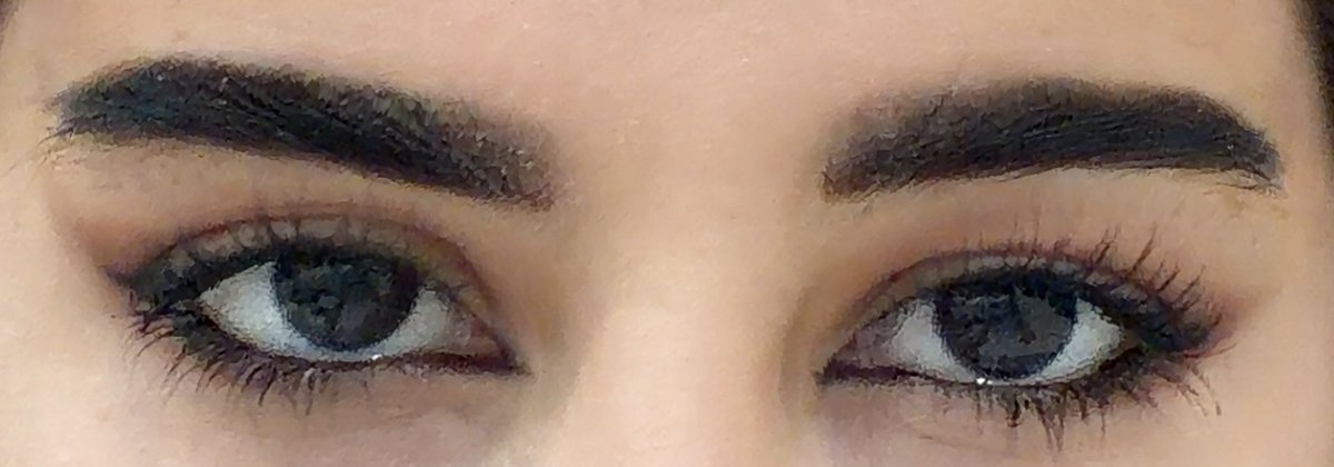 بوشيــــــــــــــــــــــــــــــــــــــــــن tweet media