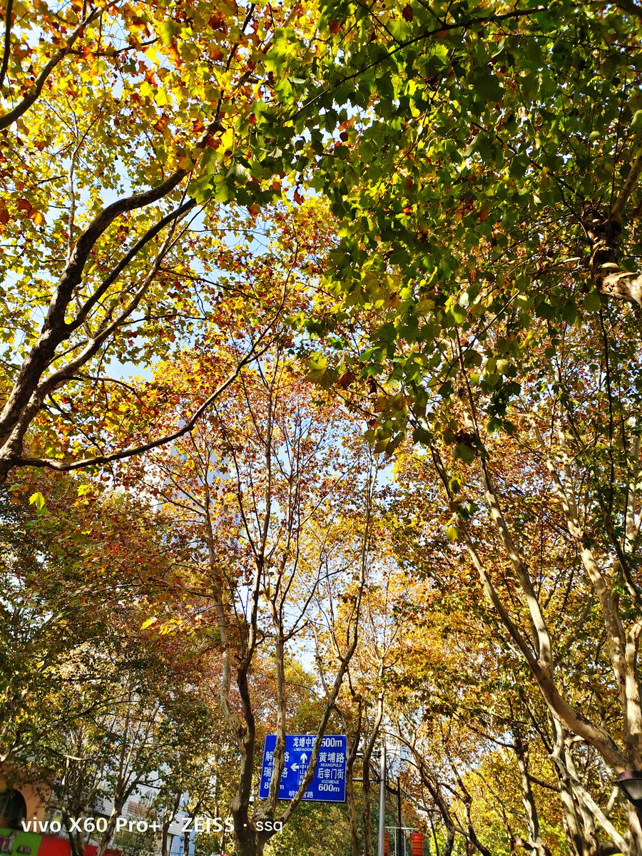 Megan Clark tweet media