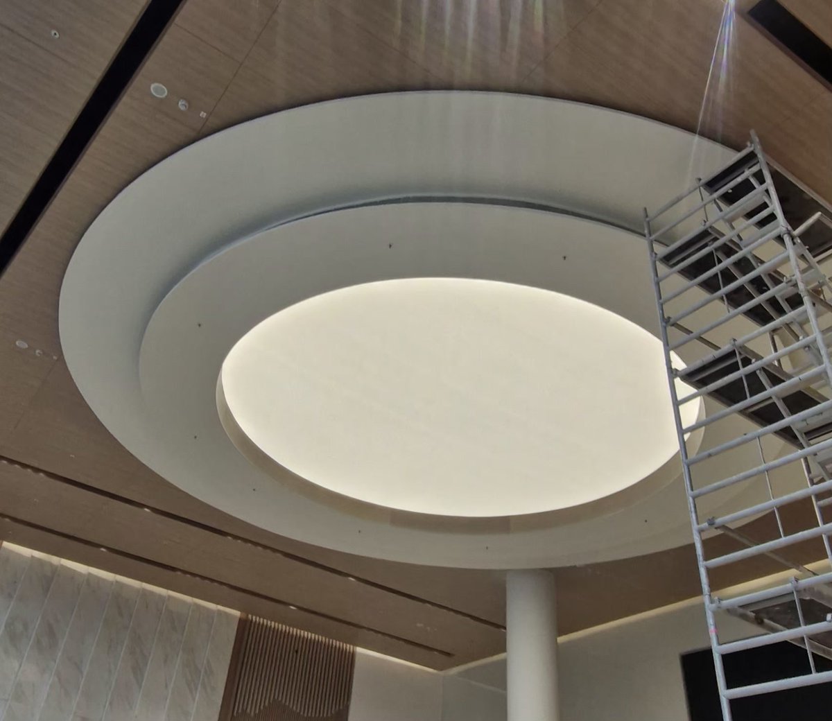 JaysAAP's tweet photo. Theme is Circle ⭕️

When you don't have anything to share for the 'Theme'. 
Then while seated below, you LookUp. 

#theme_pic_india_lookingup
#RoClicks https://t.co/GPsJI6Kcpw
