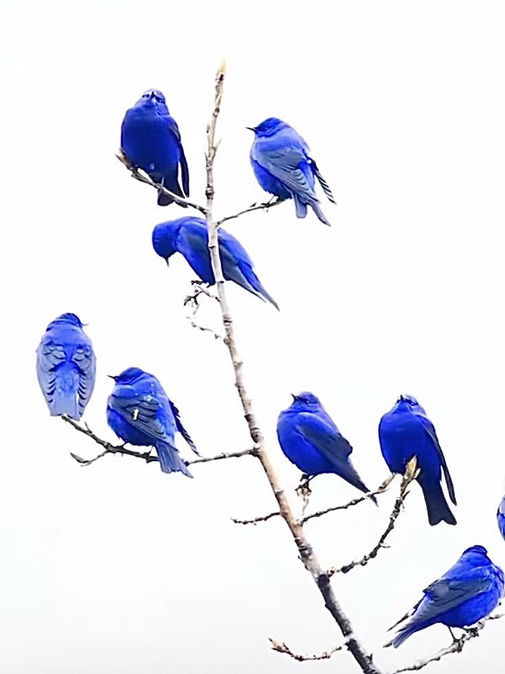 Mar 🌊 tweet media