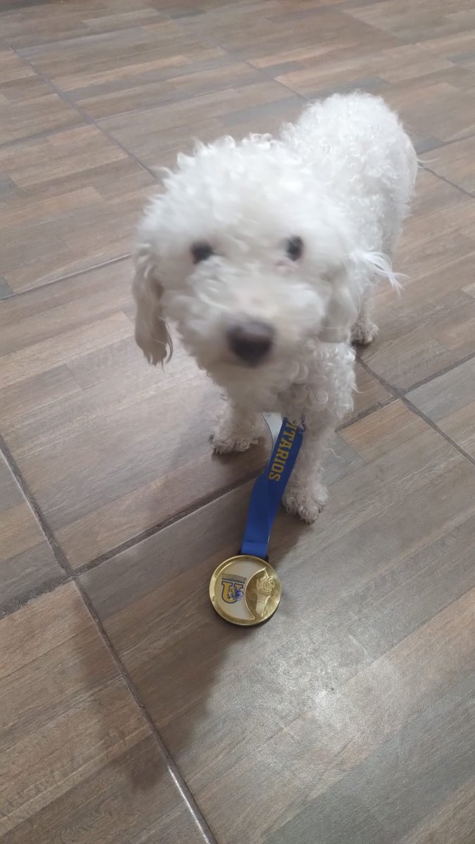 SavioR ඞ tweet media