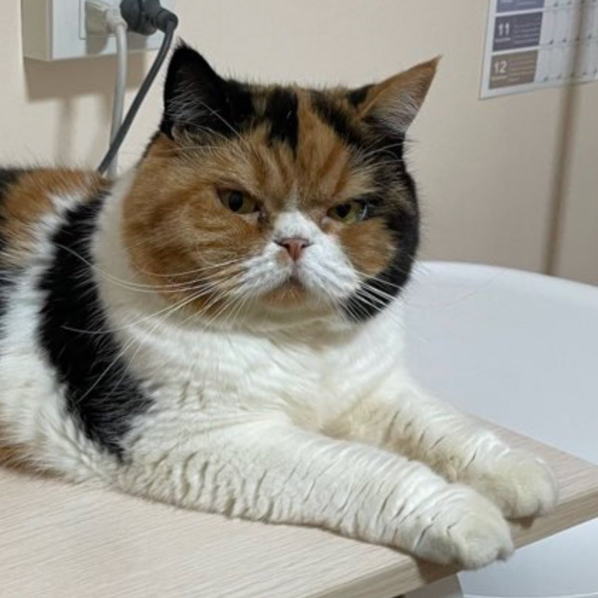 thanksgoditswork tweet media