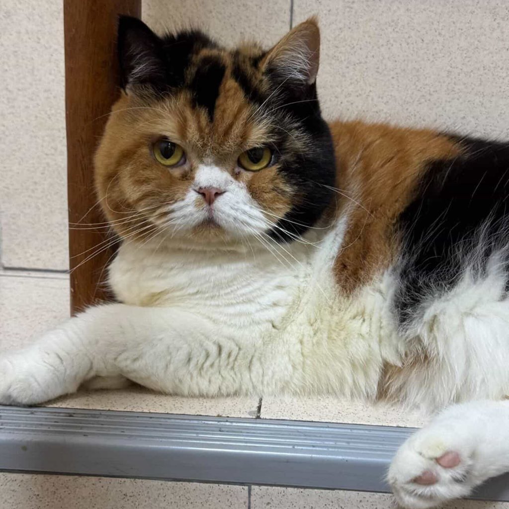 thanksgoditswork tweet media