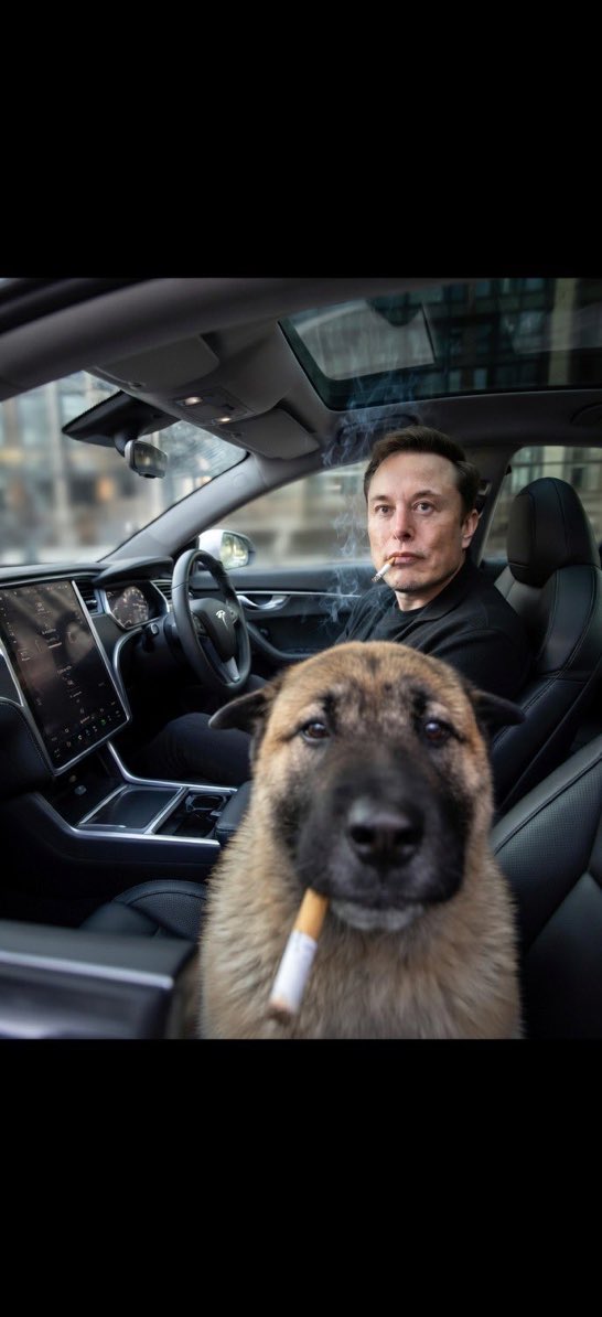 lea lebon tweet media