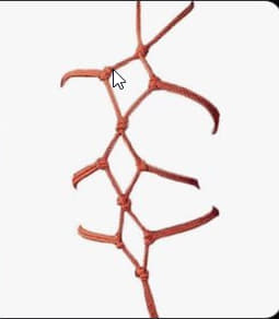 芝士塔 tweet media