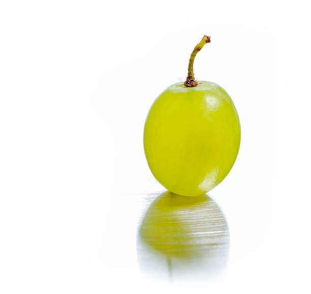 ZonaMan 🌵🇺🇸 tweet media