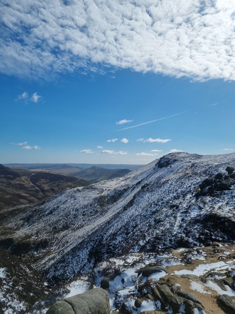 Treehugger_Actual ☮ tweet media