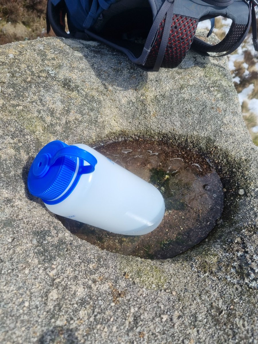 Treehugger_Actual ☮ tweet media