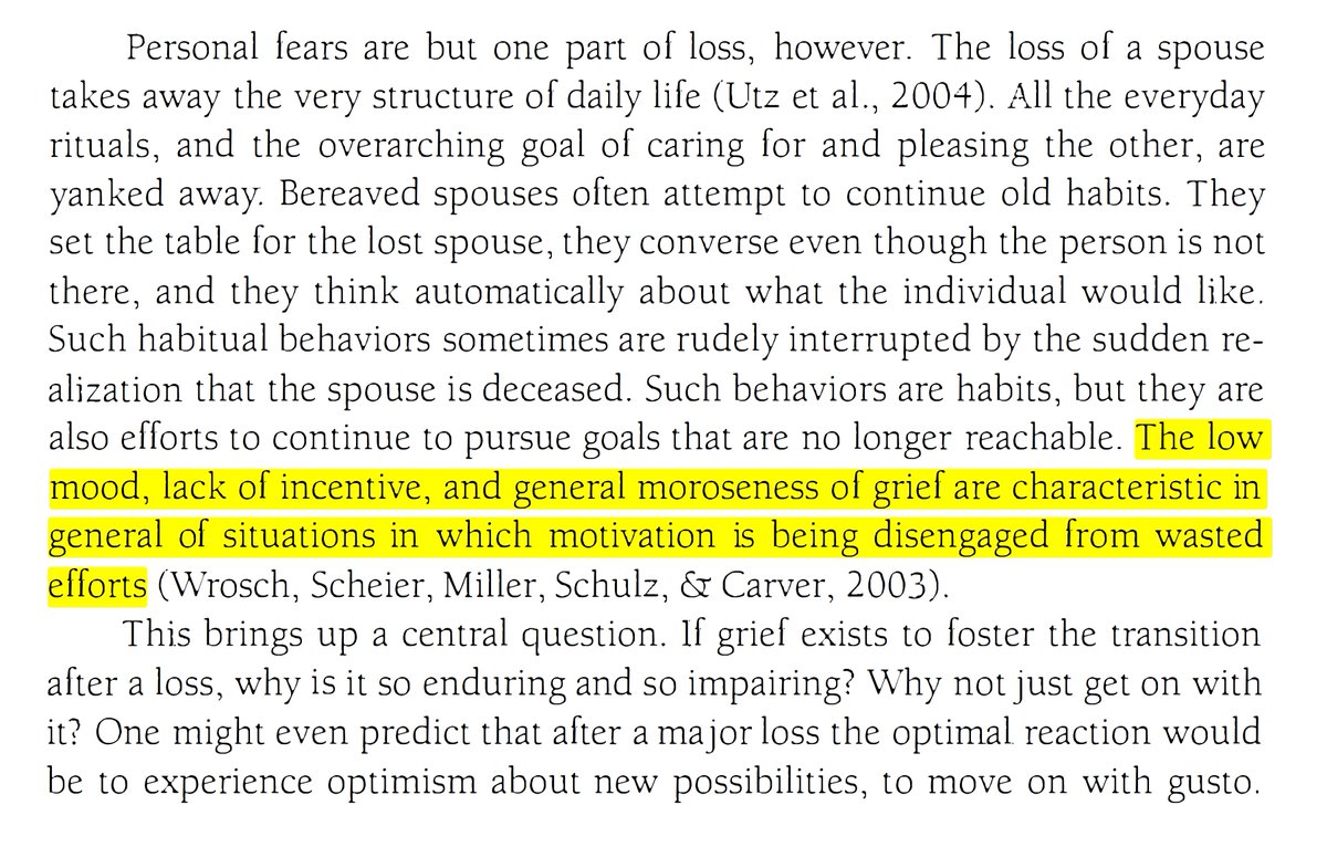 PsikoBilim tweet media