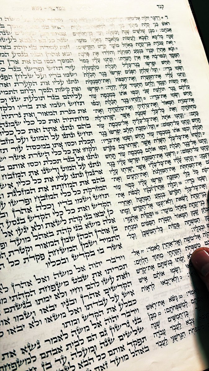 Gidon the Sluis 🇮🇱🇳🇱 tweet media