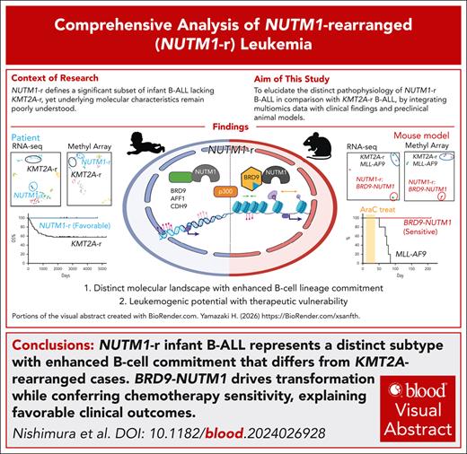 Blood Journals Portfolio tweet media
