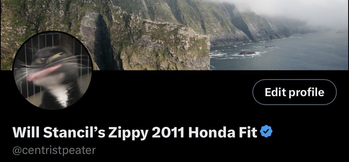 B e a r m a x x e r tweet media