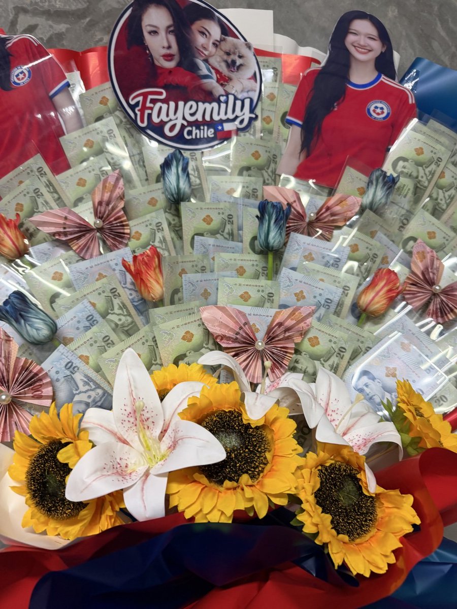 Fayemily Chile 🇨🇱 tweet media