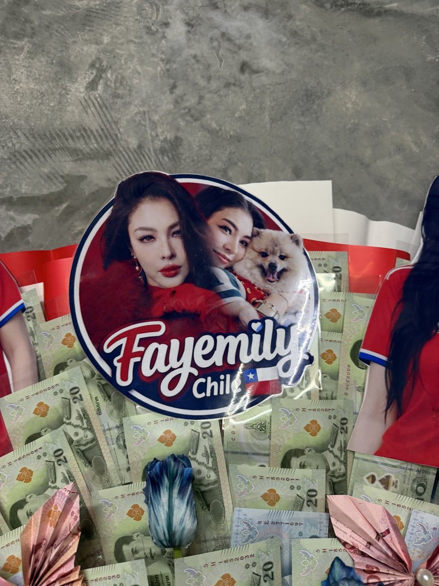 Fayemily Chile 🇨🇱 tweet media