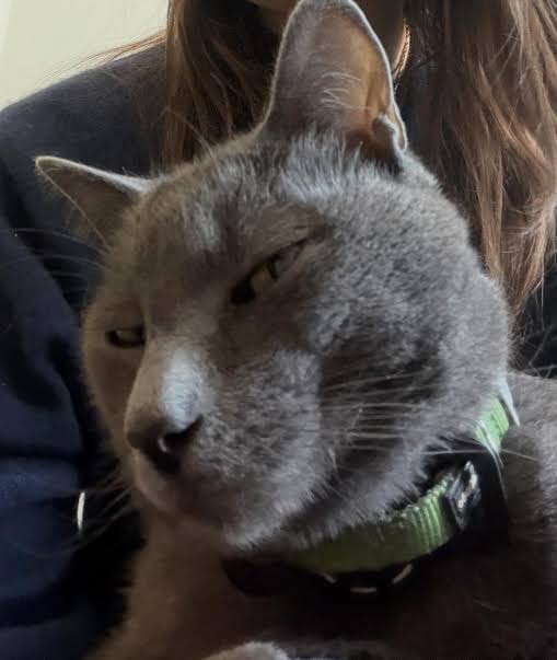 𝙖 𝙣 𝙖 🥀💫 tweet media