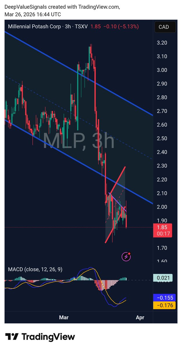 DeepValue Signals tweet media