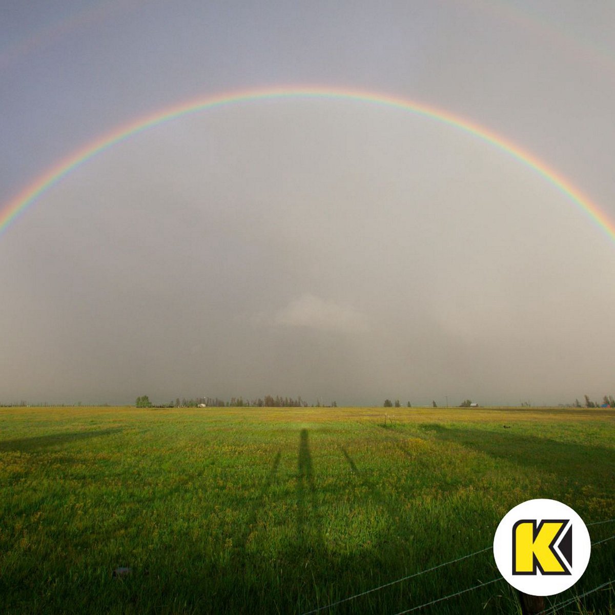 Audi Bend tweet media