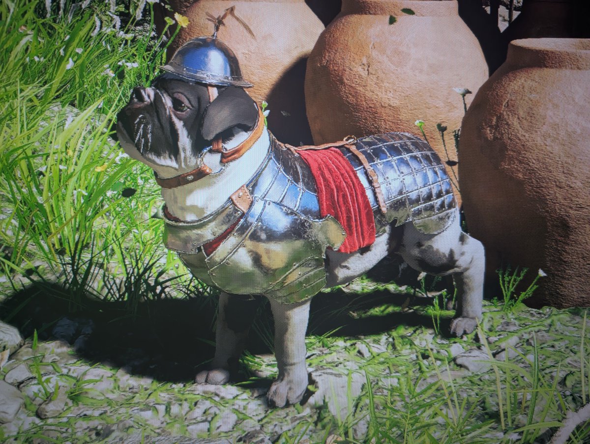 Big Easy 👾📖 tweet media