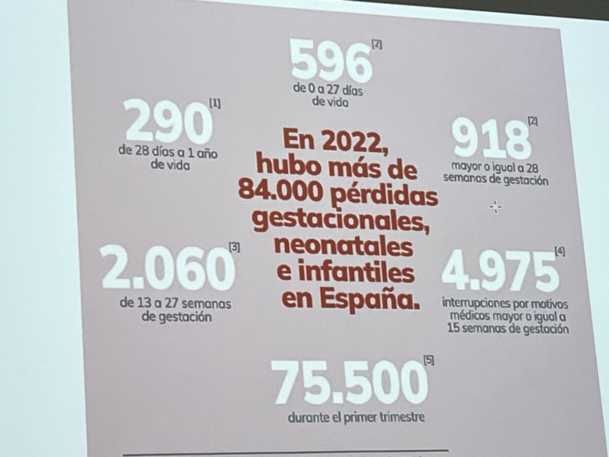 Diego J Palao tweet media