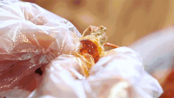 surabhi sood tweet media