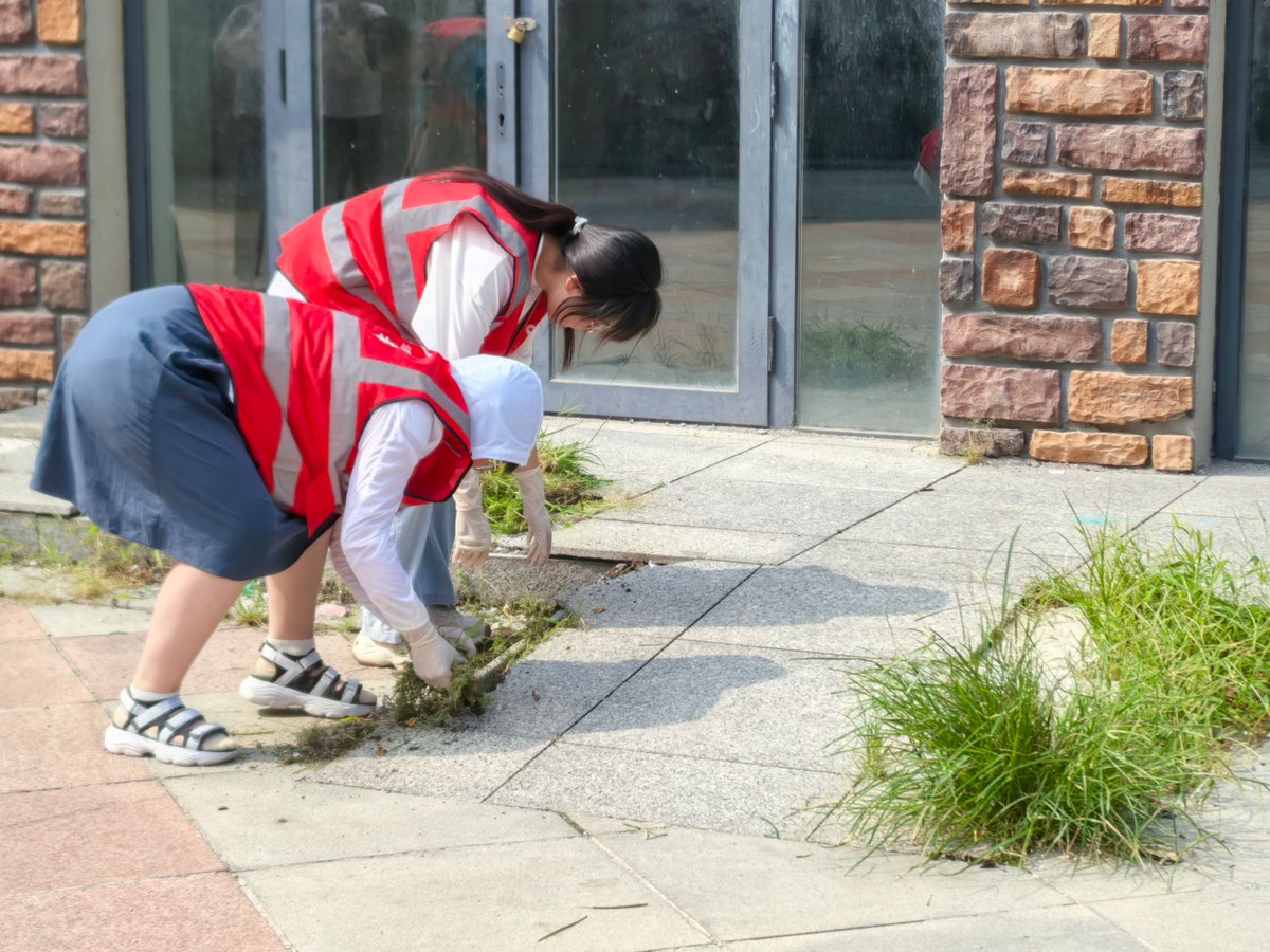 Francesca Bellusso tweet media