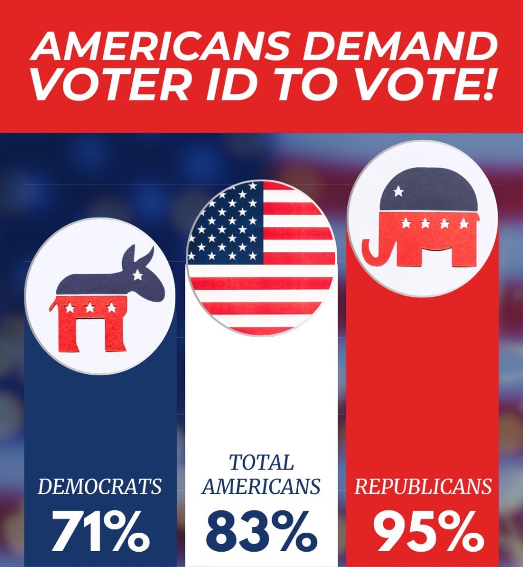 Mountain Lifeworks tweet media