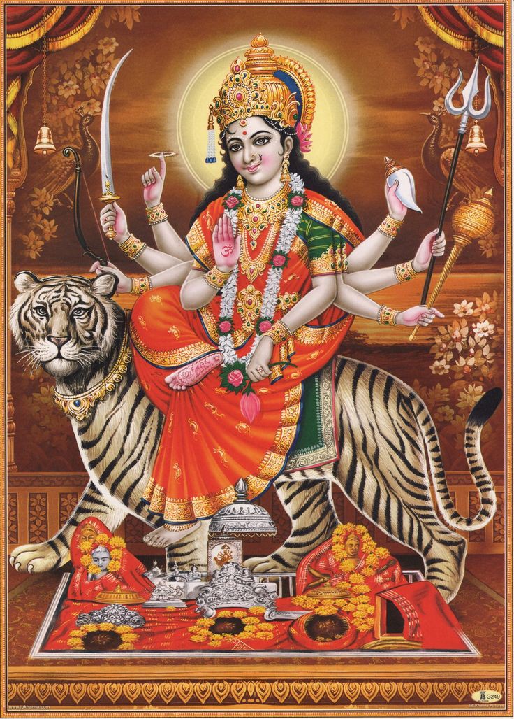 Ssr Team tweet media