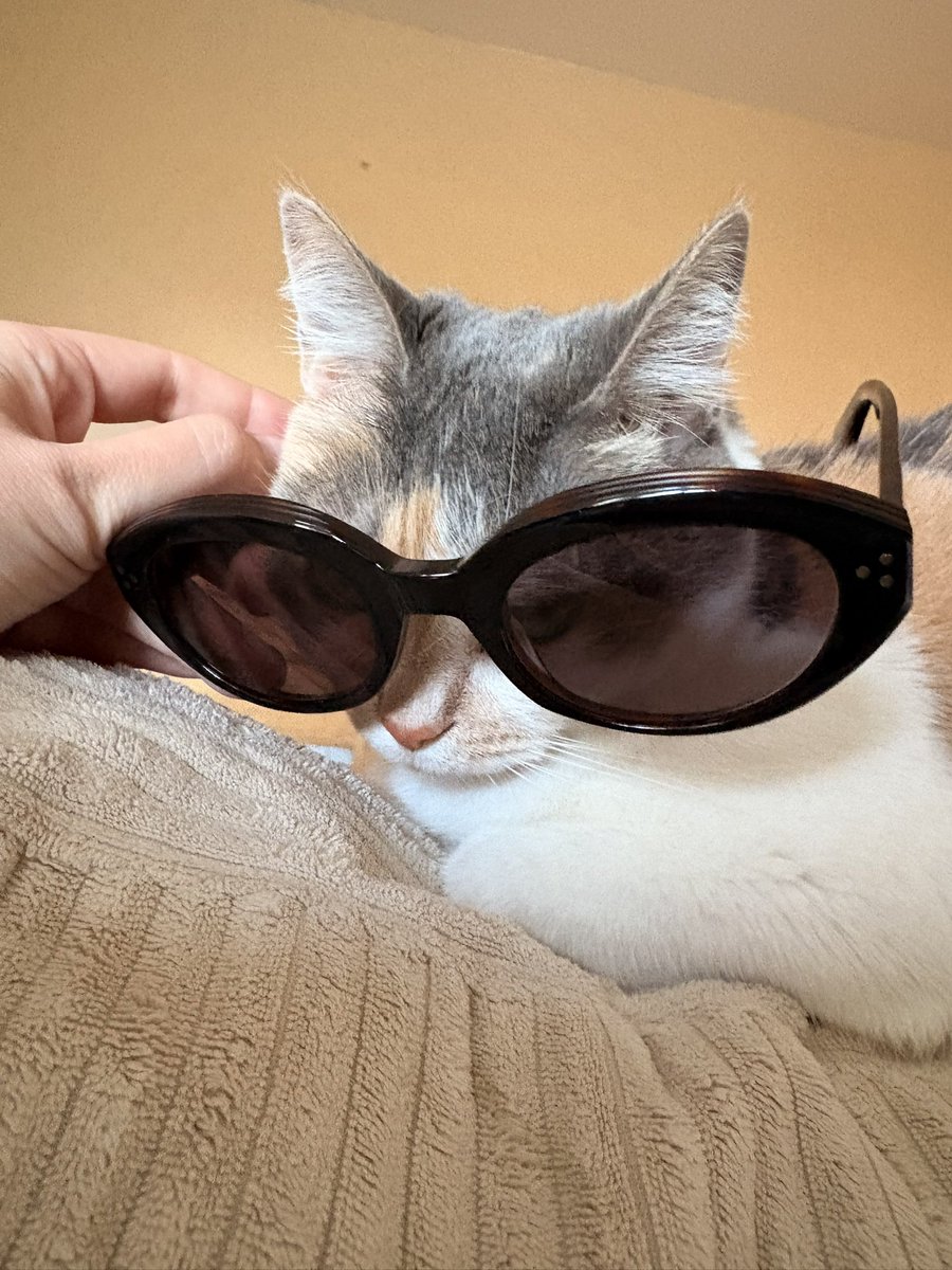 Am’ ( Pépette ) ❤️‍🔥 tweet media