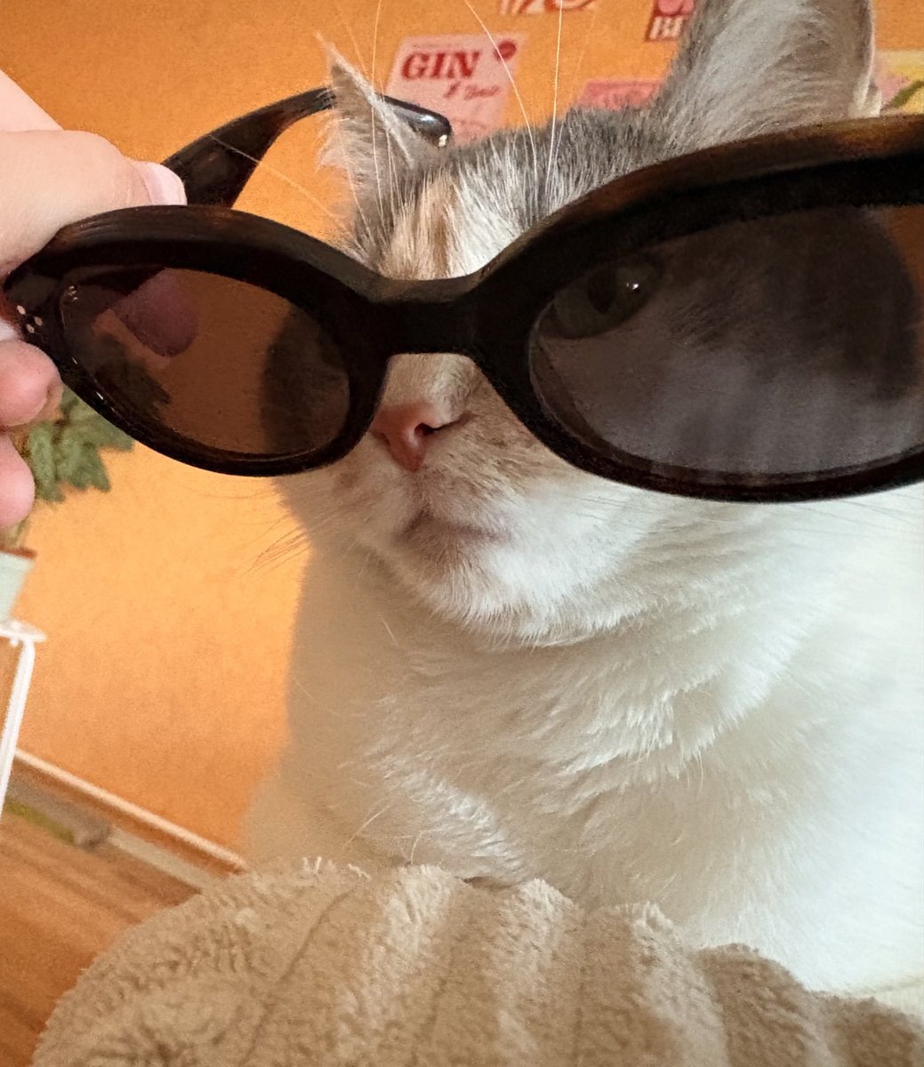 Am’ ( Pépette ) ❤️‍🔥 tweet media