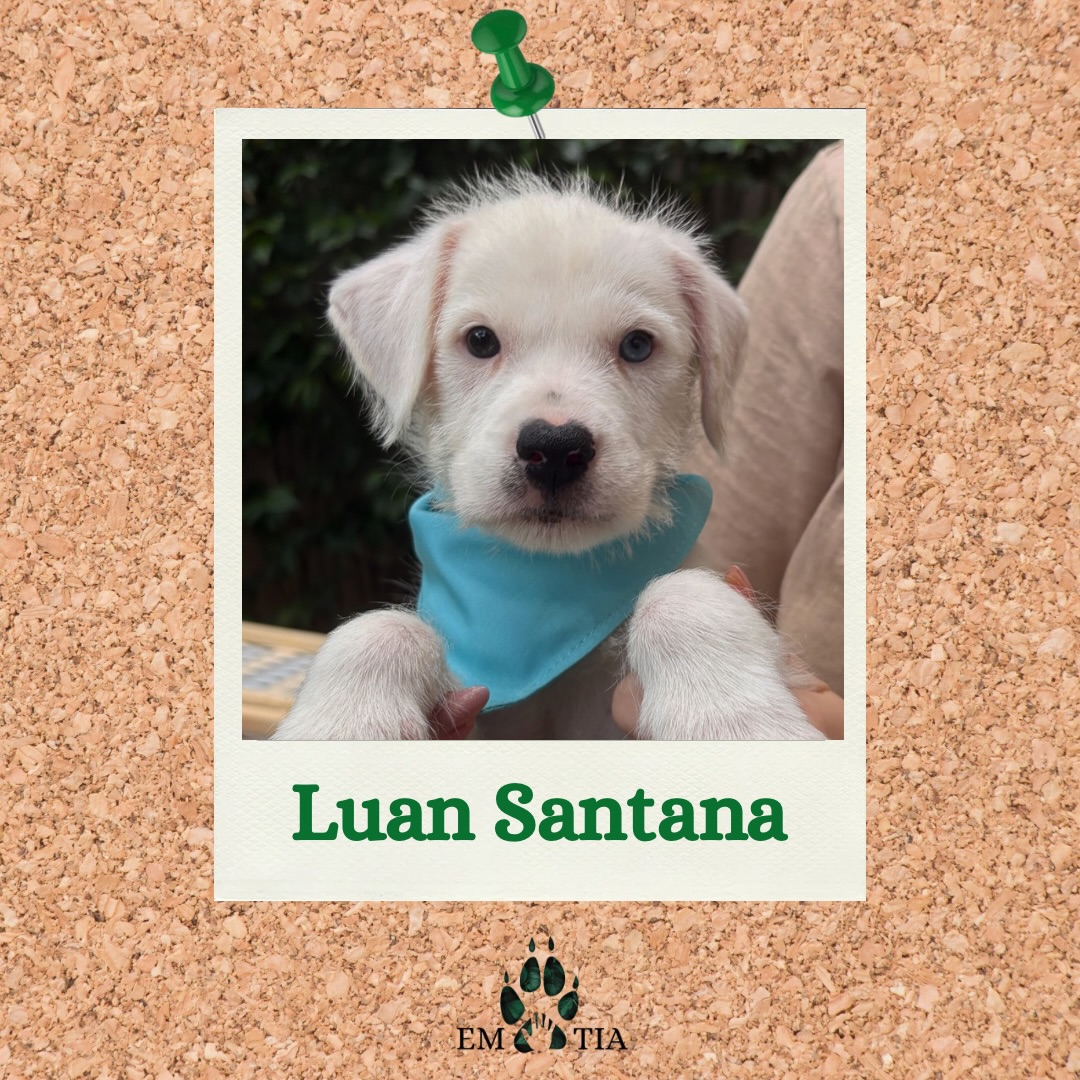 Clara, as vezes Vitória 🌹 tweet media