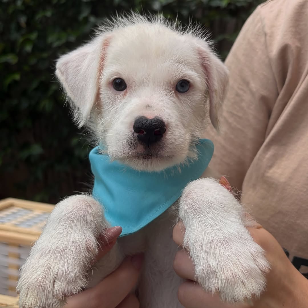 Clara, as vezes Vitória 🌹 tweet media