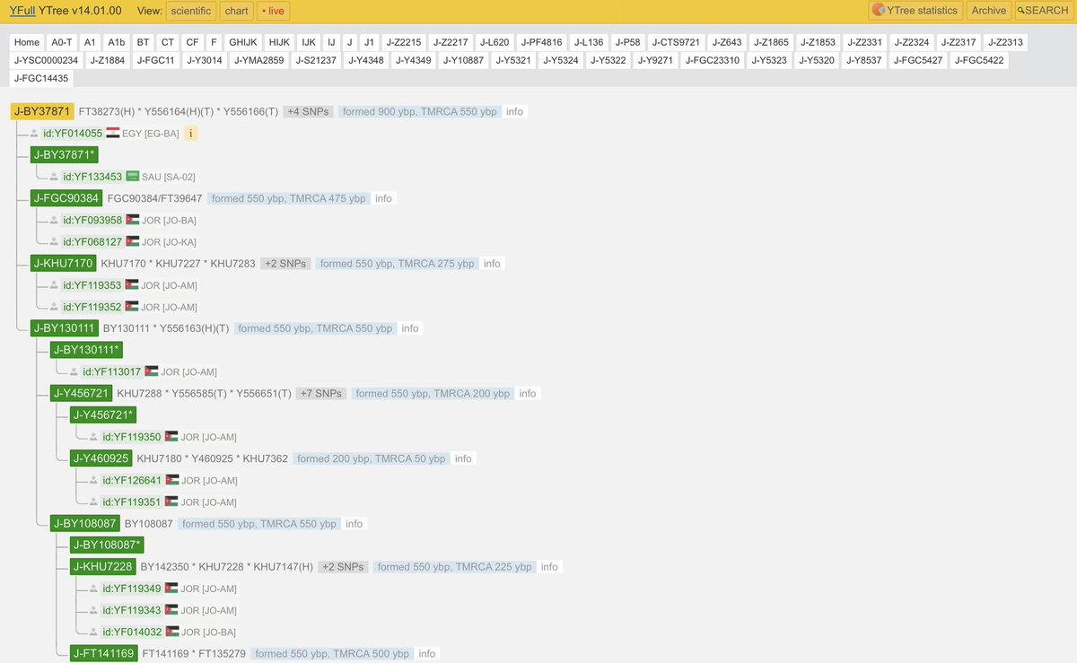 Y-DNA Sequencing in Egypt tweet media