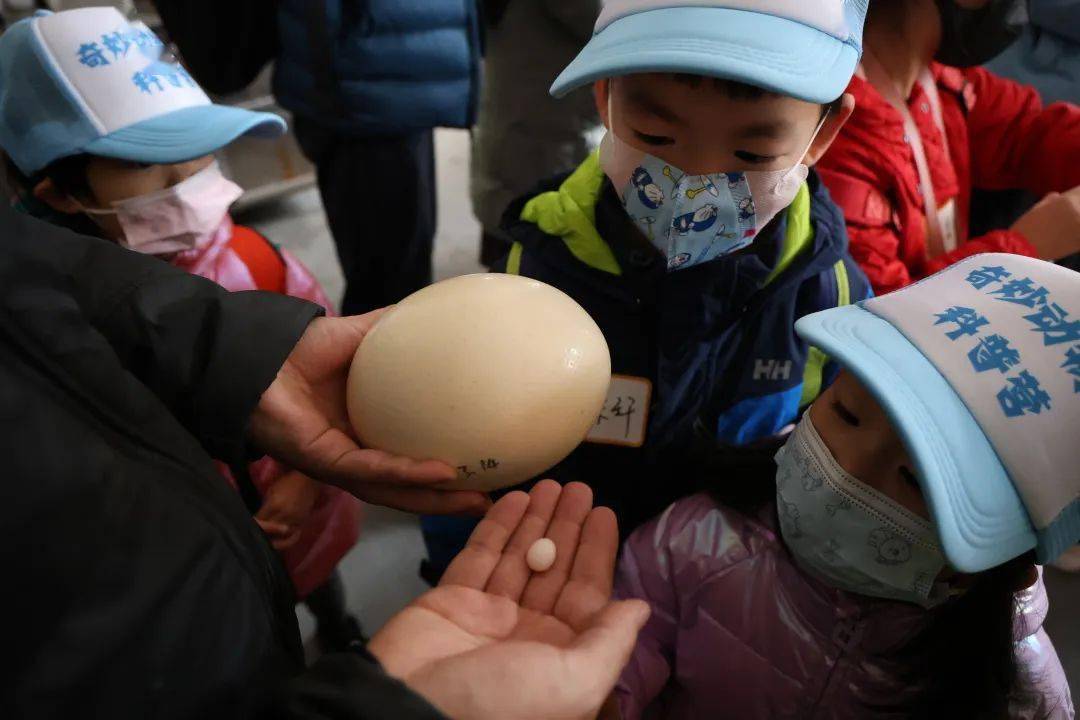 DL1981's tweet image. "When you feel stuck, lean in—your breakthrough is hiding in the hard part.  #GrowthMindset #BreakthroughChallenge"