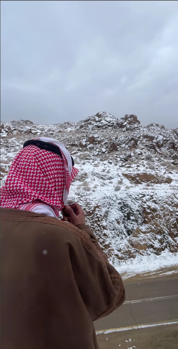 AlShamal Pinterest tweet media